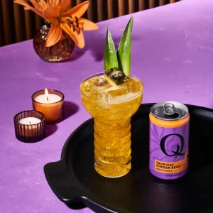 Q Mixers Ginger Beer Tropical Lifestyle and Awards
